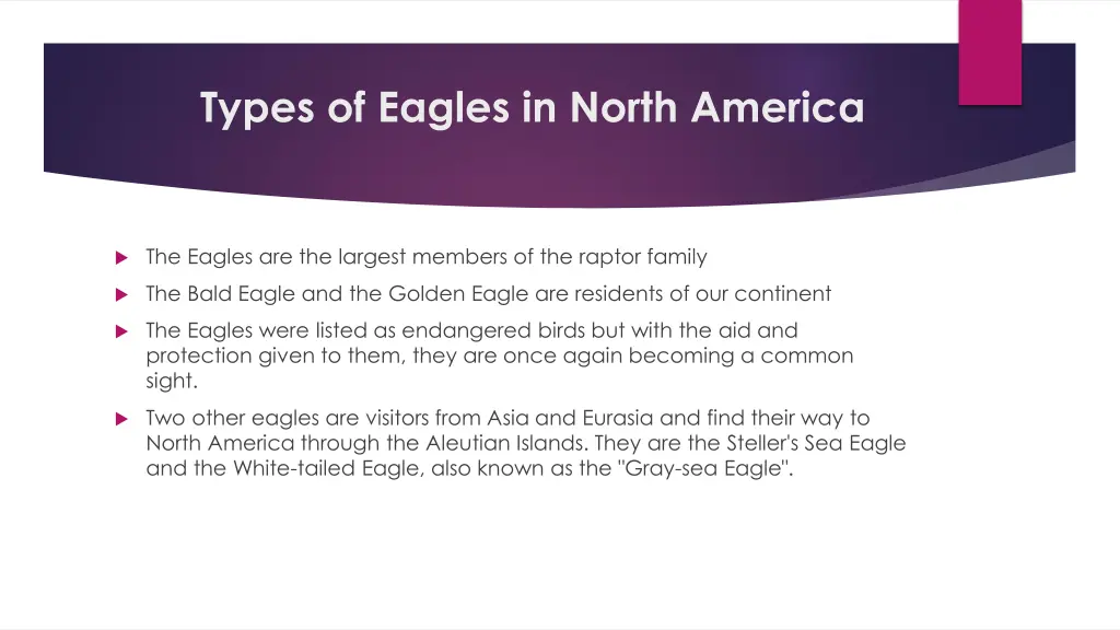 types of eagles in north america