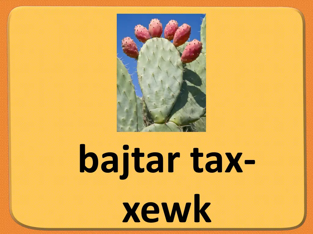 bajtar tax xewk