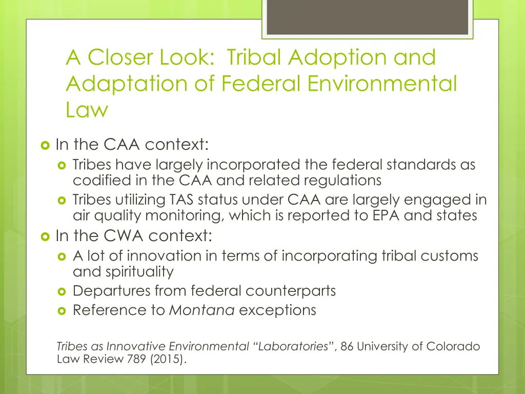 a closer look tribal adoption and adaptation