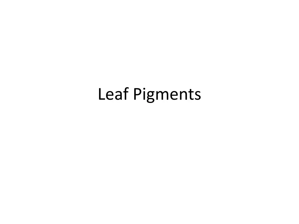 leaf pigments