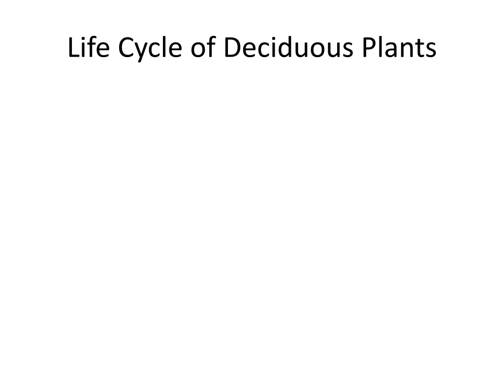 life cycle of deciduous plants