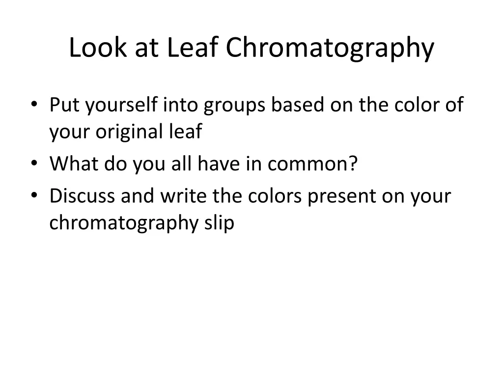 look at leaf chromatography