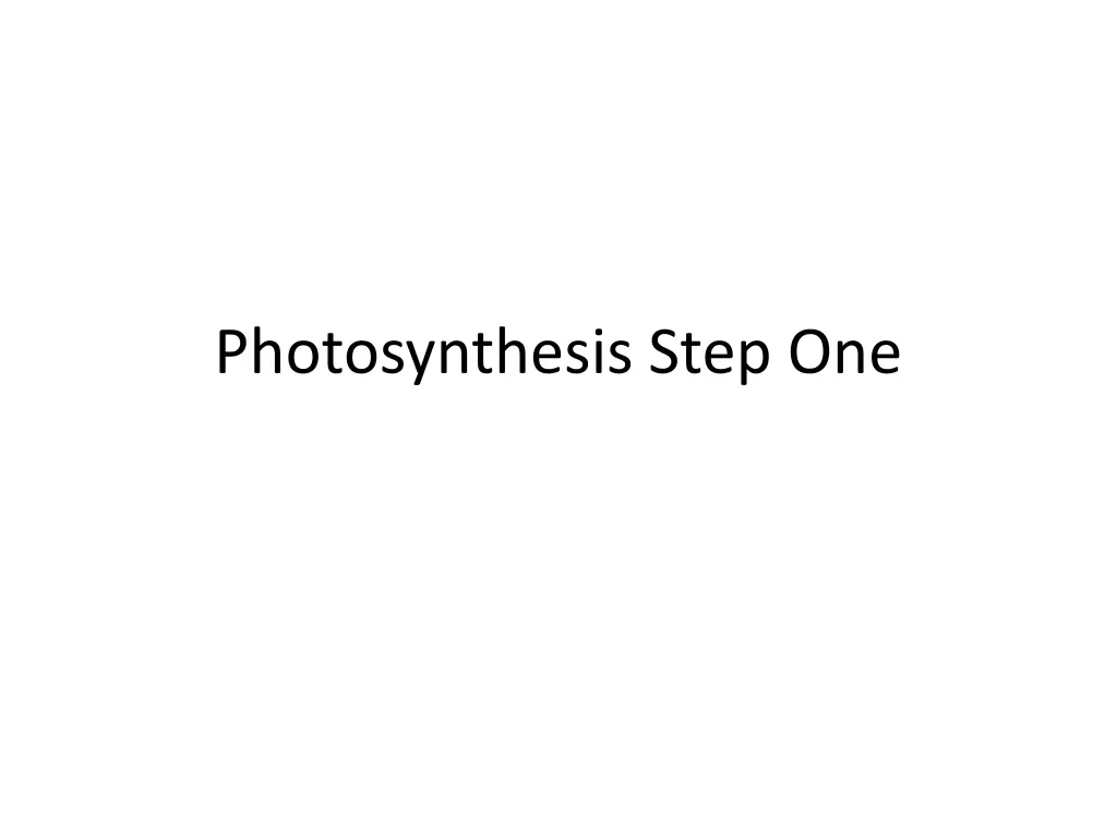 photosynthesis step one