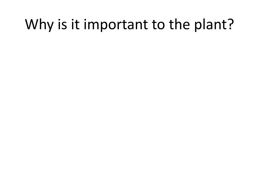 why is it important to the plant