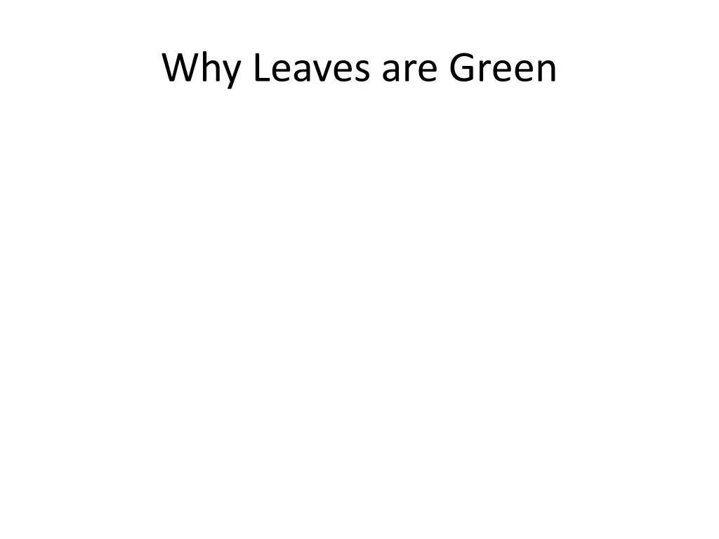 why leaves are green