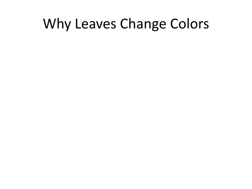 why leaves change colors