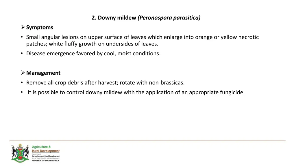 2 downy mildew peronospora parasitica