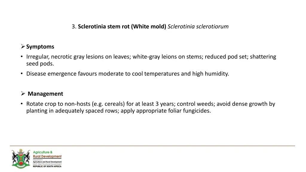 3 sclerotinia stem rot white mold sclerotinia