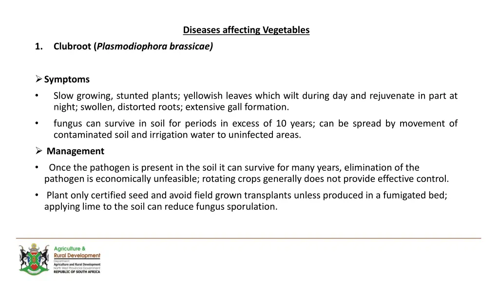 diseases affecting vegetables