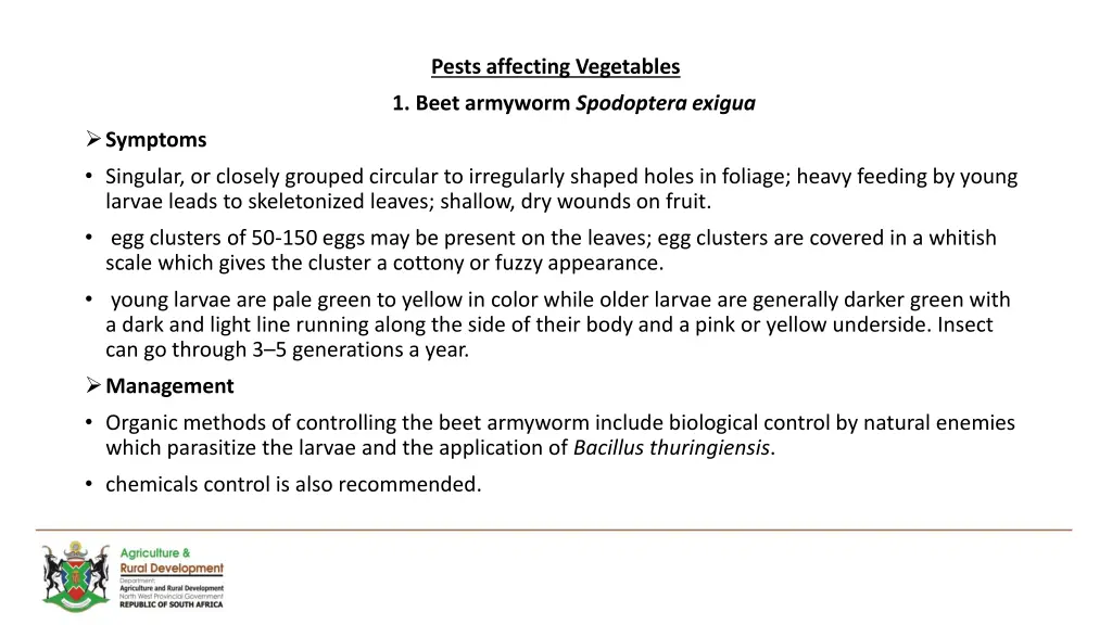 pests affecting vegetables