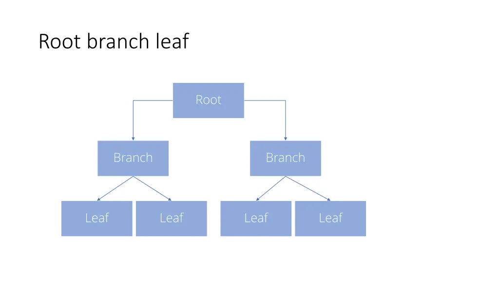 root branch leaf