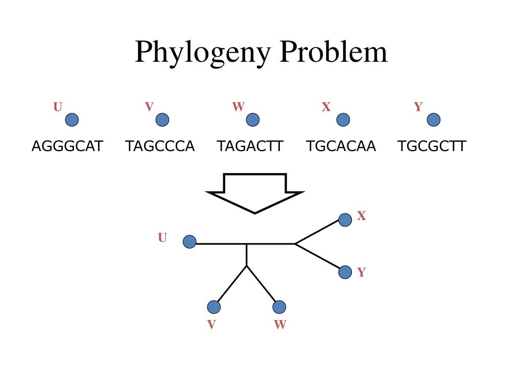 phylogeny problem 1