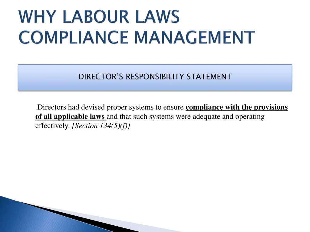 director s responsibility statement