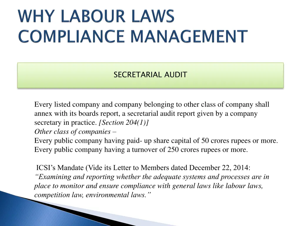 secretarial audit