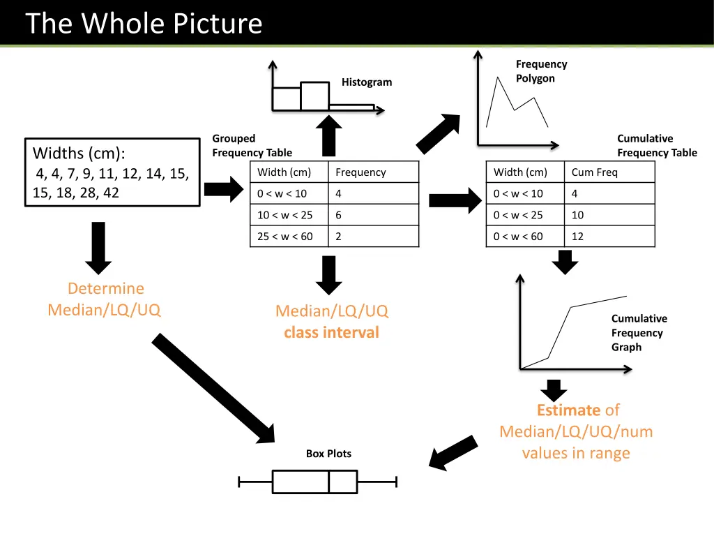 the whole picture