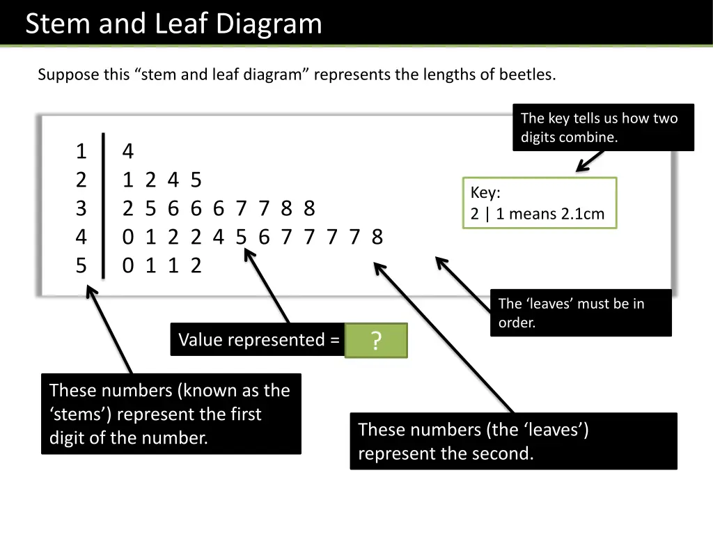 stem and leaf diagram