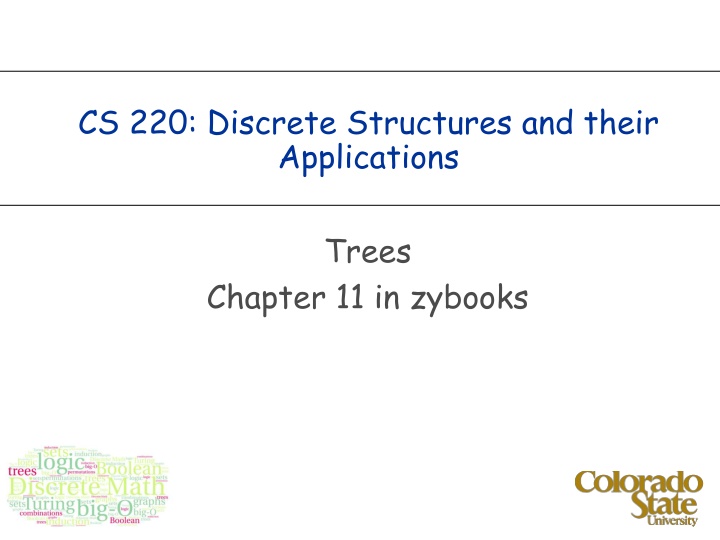 cs 220 discrete structures and their applications