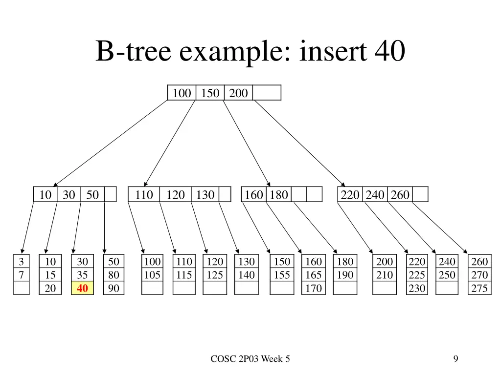 b tree example insert 40