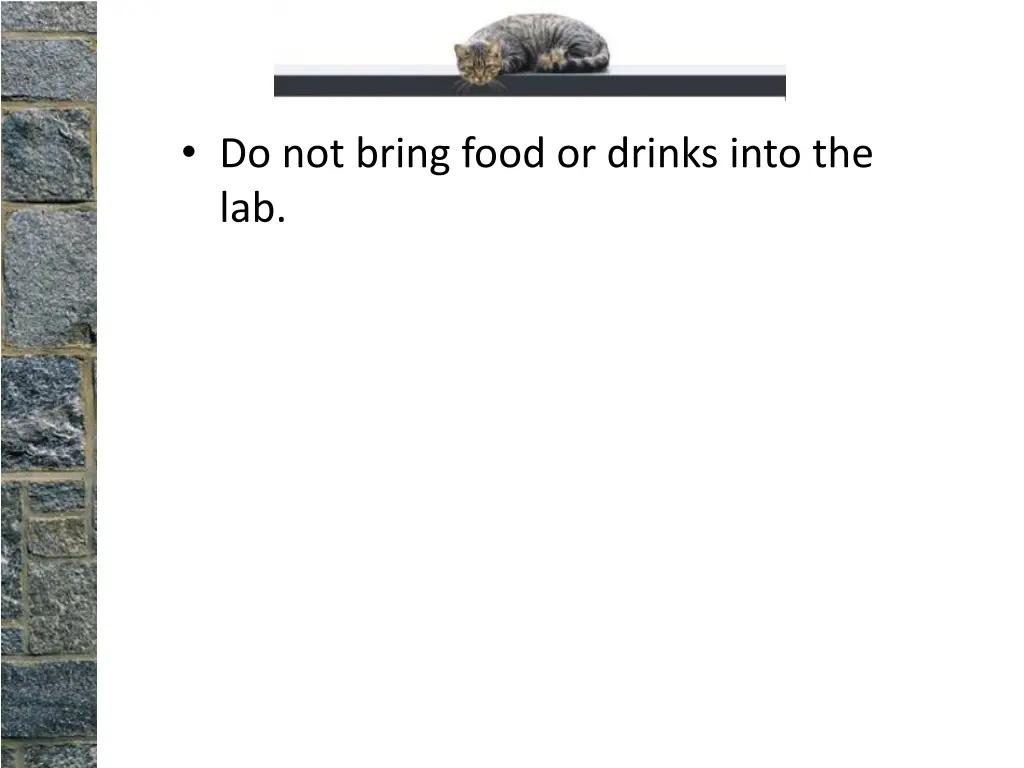 do not bring food or drinks into the lab