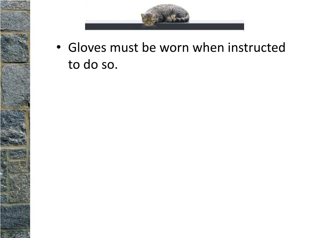 gloves must be worn when instructed to do so