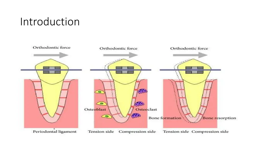 introduction 1