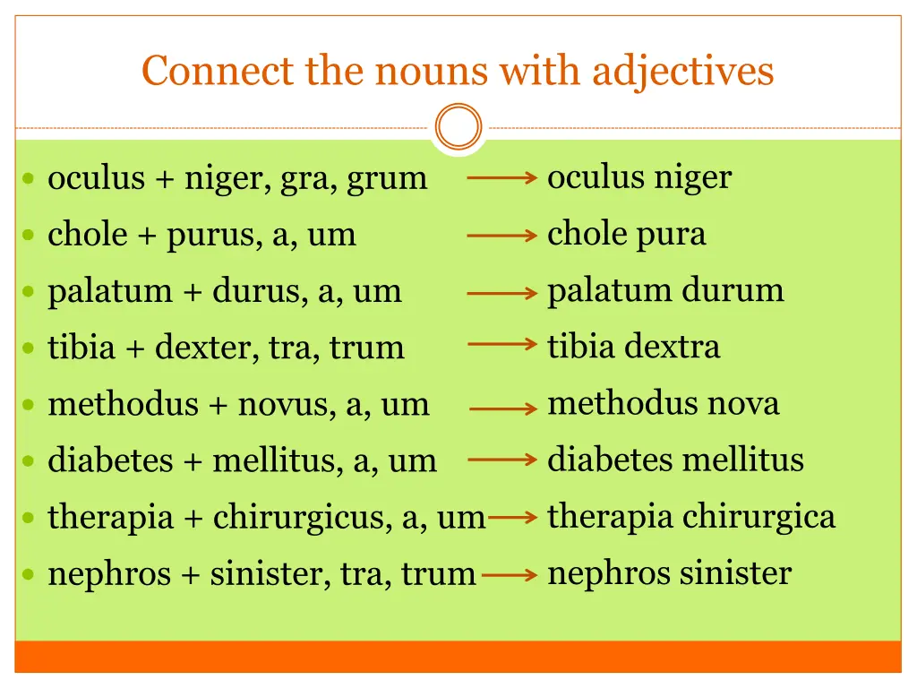 connect the nouns with adjectives