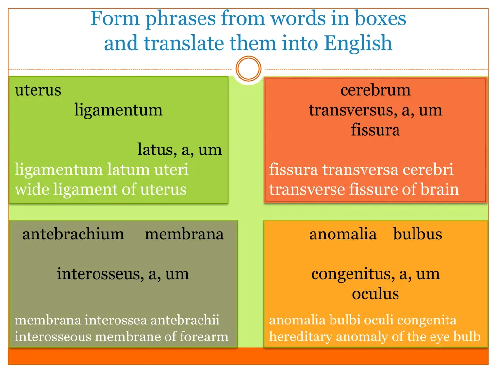 form phrases from words in boxes and translate