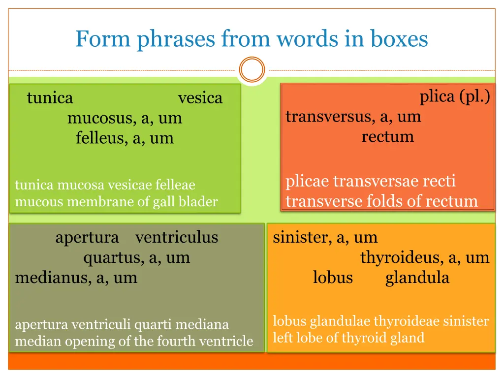 form phrases from words in boxes