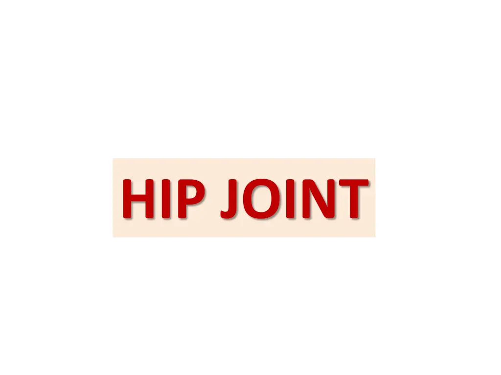 hip joint