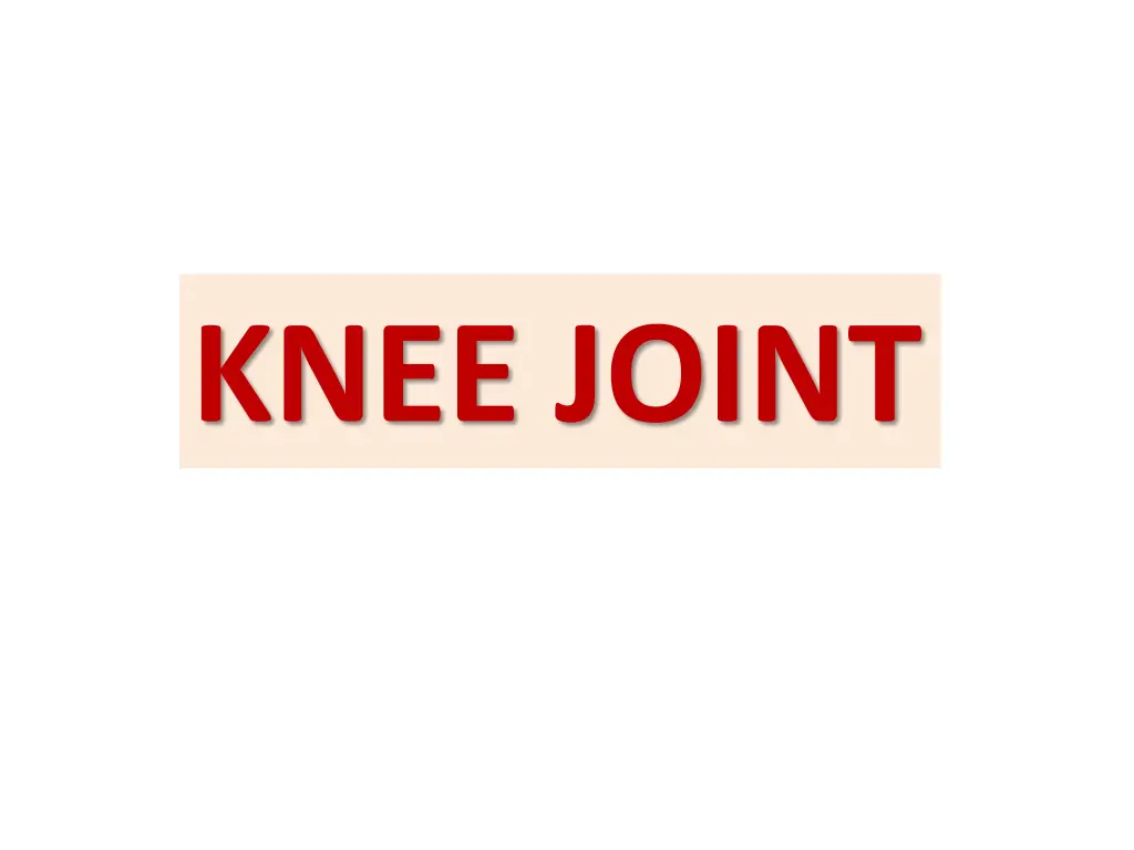 knee joint