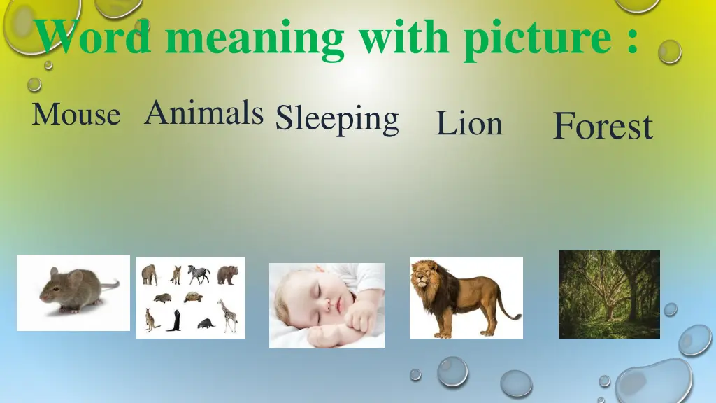 word meaning with picture