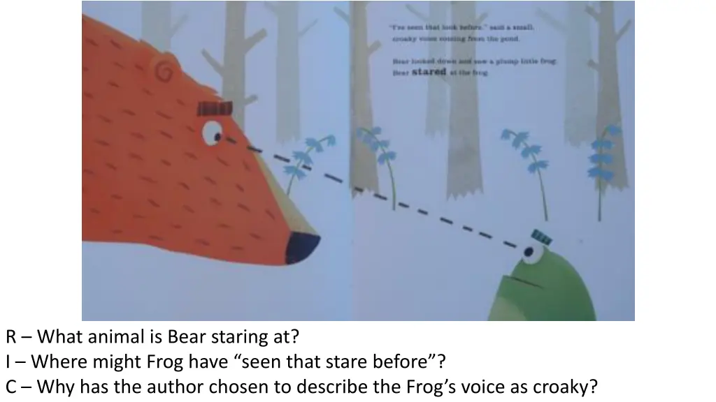 r what animal is bear staring at i where might