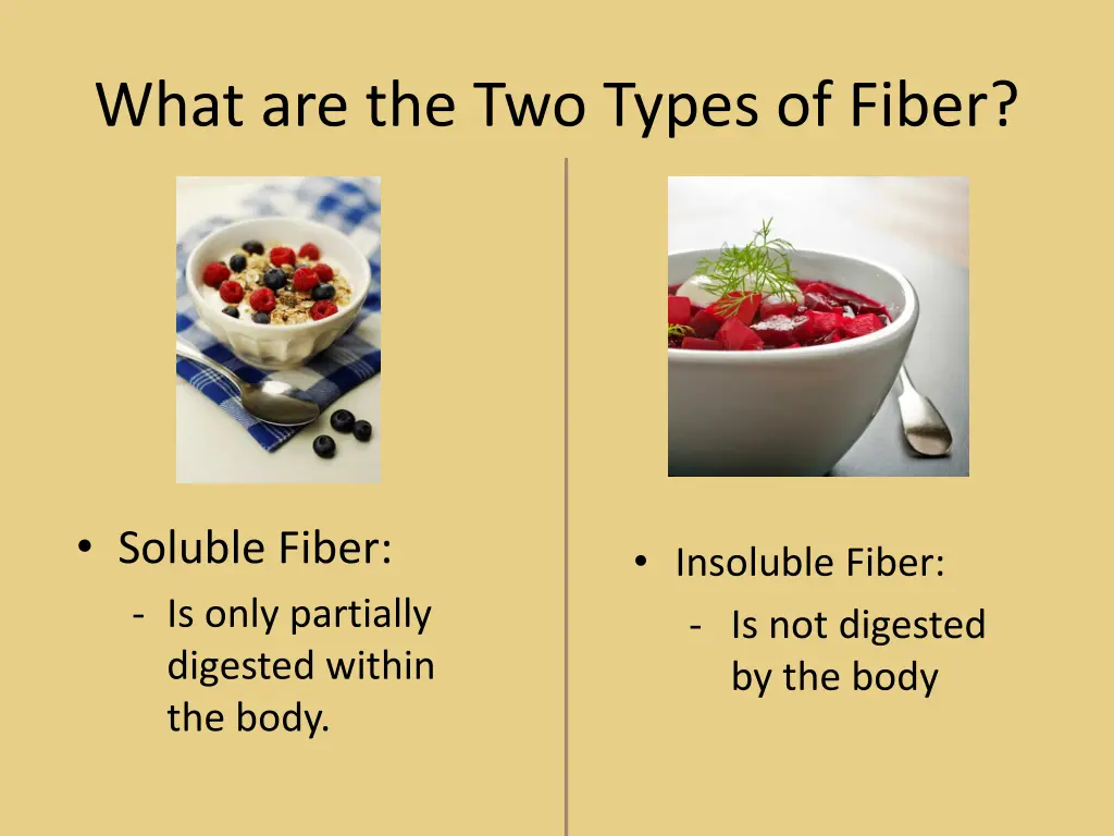 what are the two types of fiber