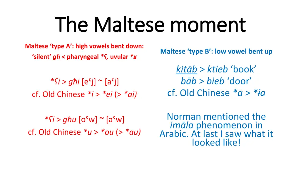 the maltese moment the maltese moment