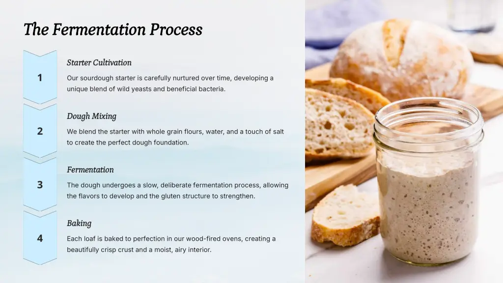 the fermentation process the fermentation process