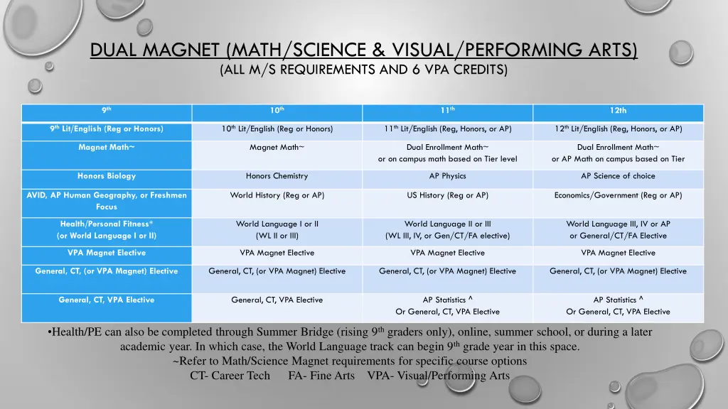 dual magnet math science visual performing arts