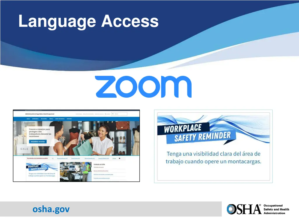 language access 1