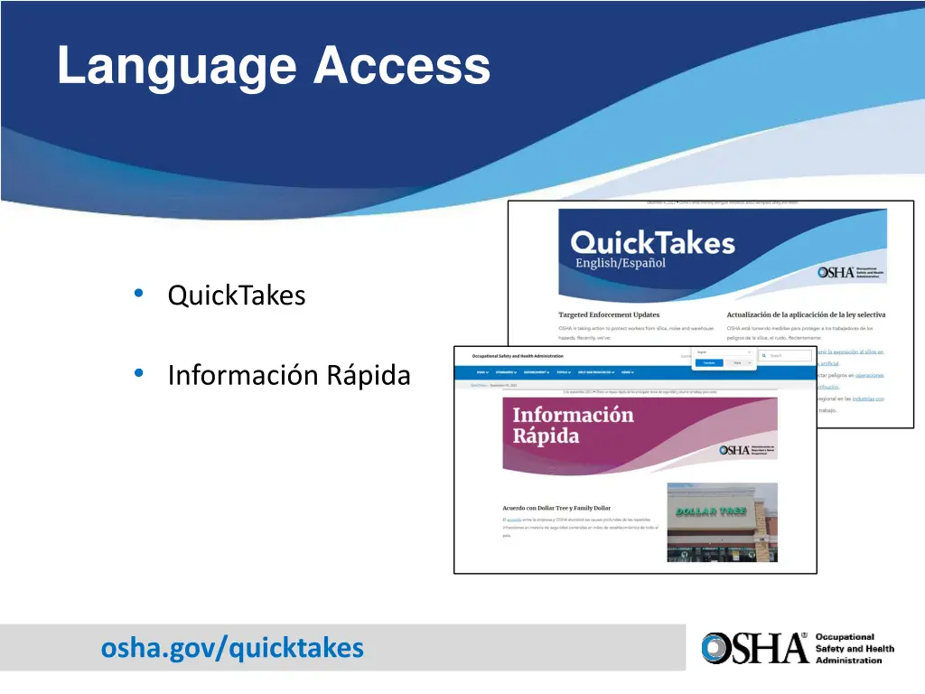 language access