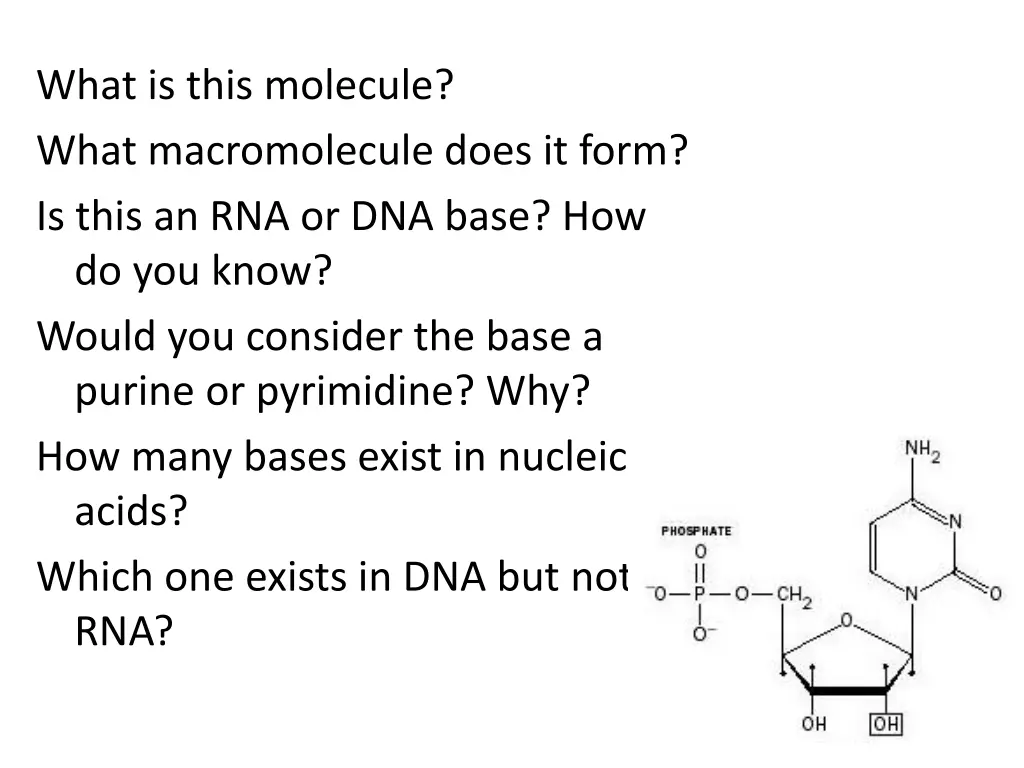 what is this molecule what macromolecule does