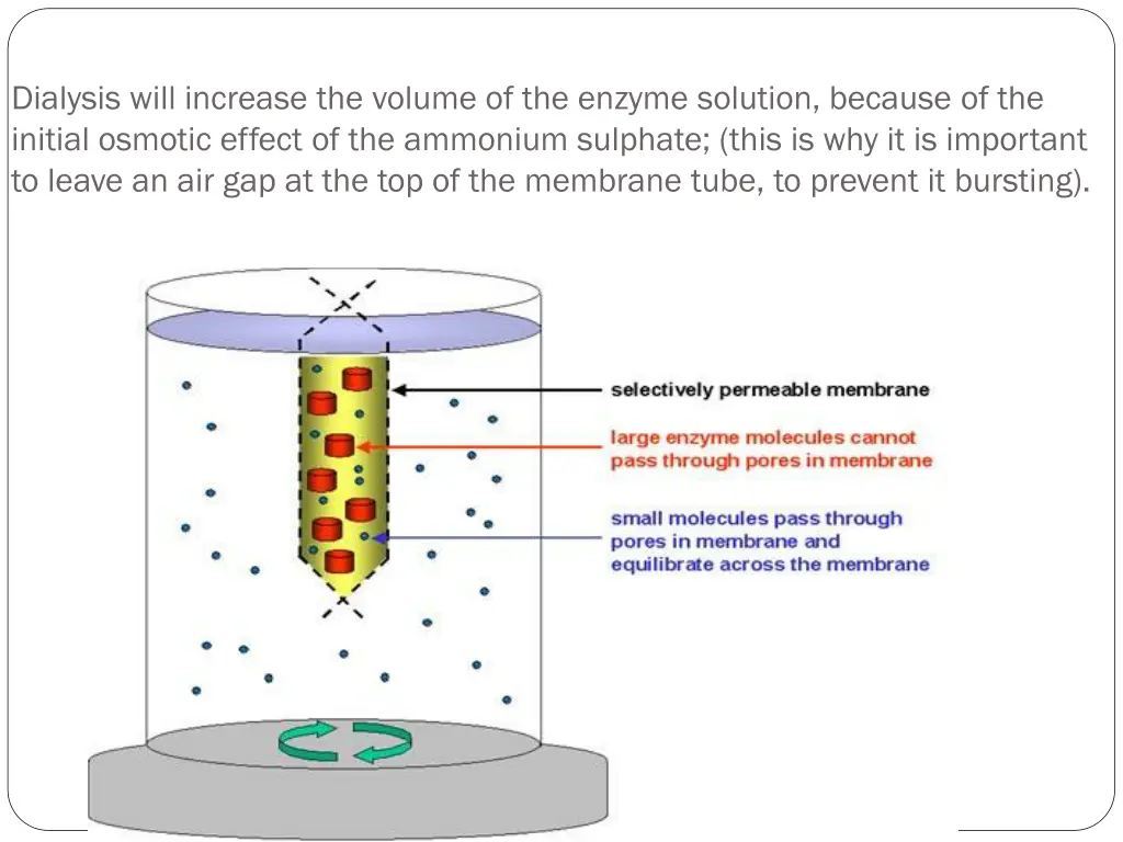 dialysis will increase the volume of the enzyme