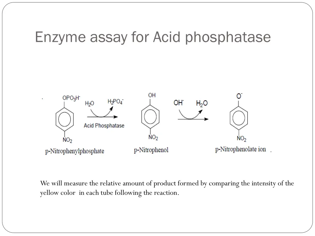 enzyme assay for acid phosphatase