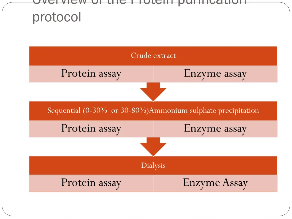 overview of the protein purification protocol