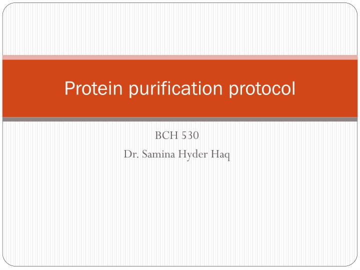 protein purification protocol