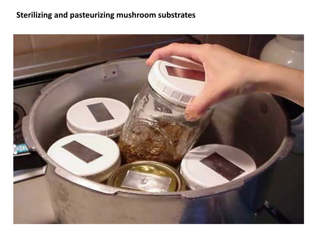 sterilizing and pasteurizing mushroom substrates