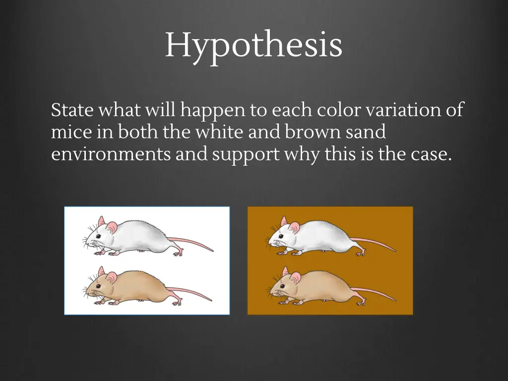 hypothesis