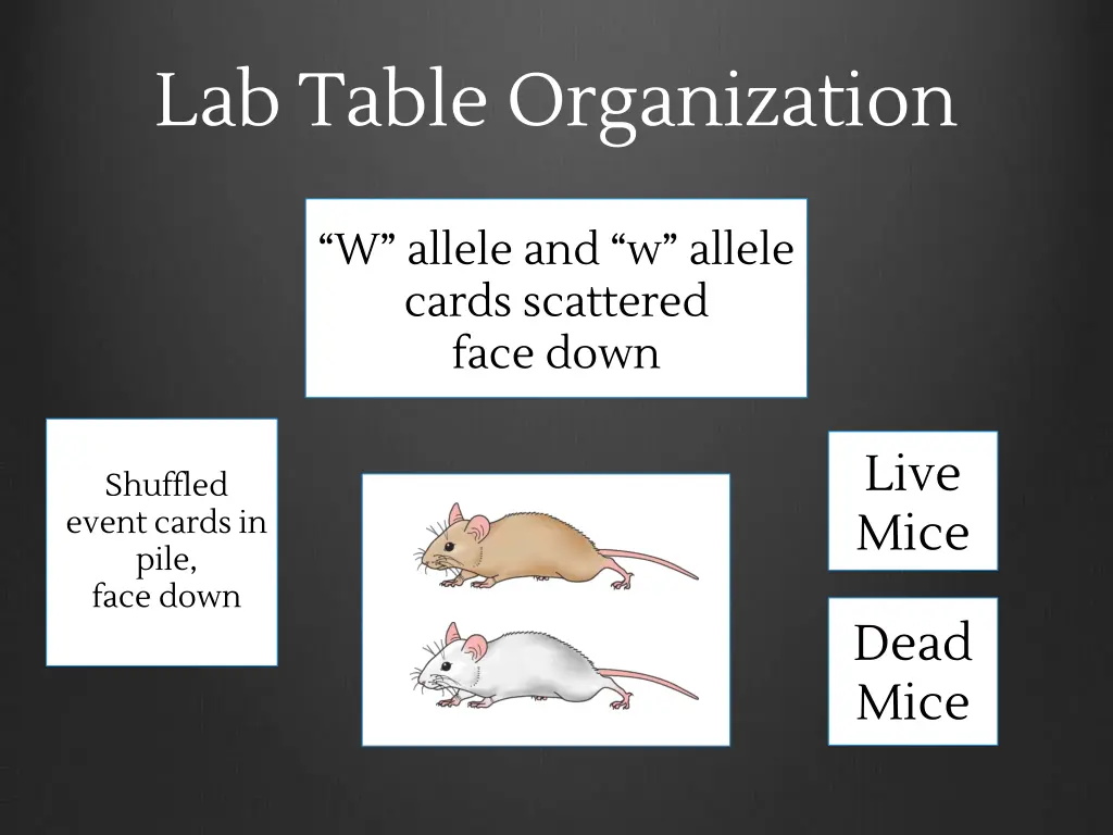 lab table organization