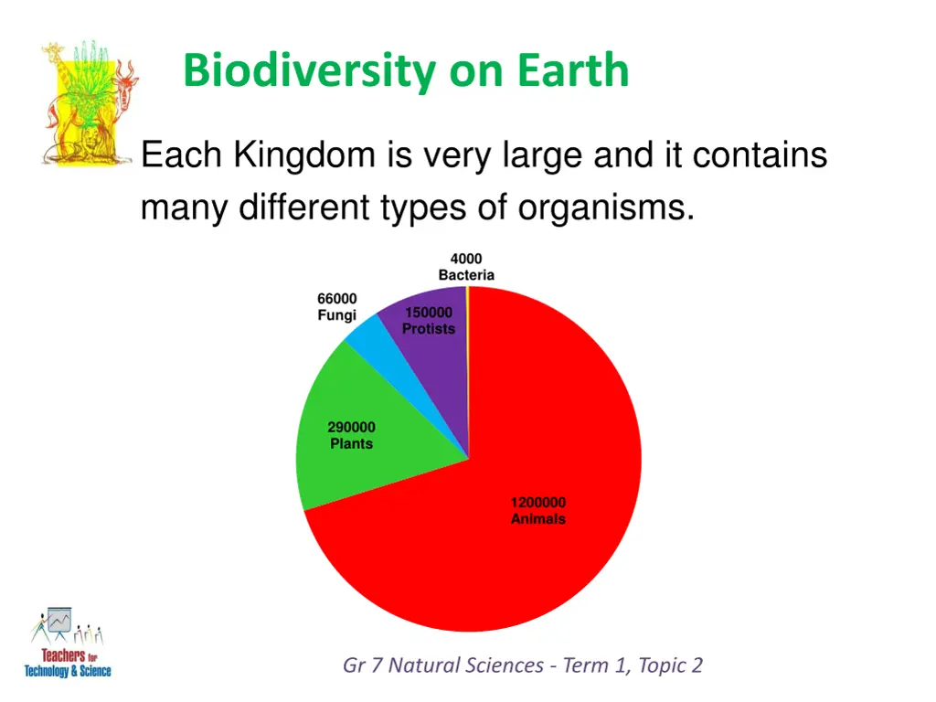 biodiversity on earth