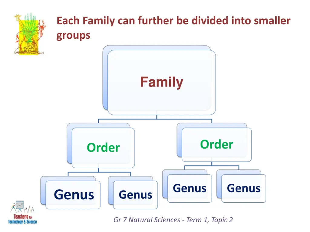 each family can further be divided into smaller 1