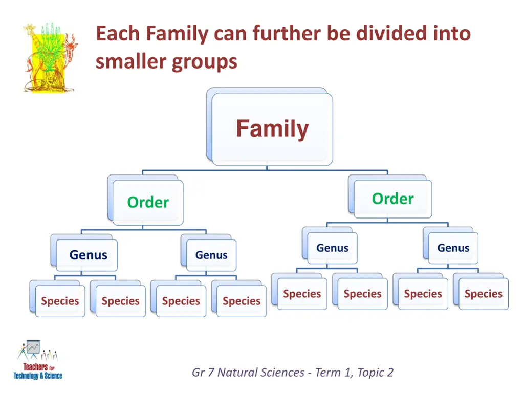 each family can further be divided into smaller 2