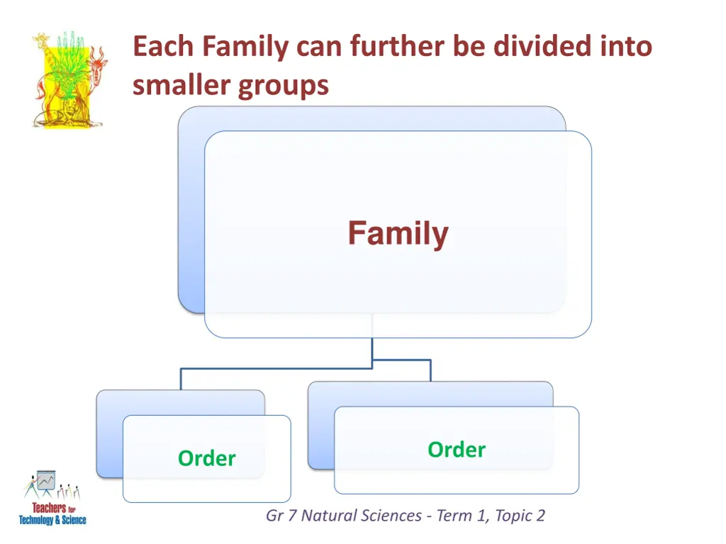 each family can further be divided into smaller